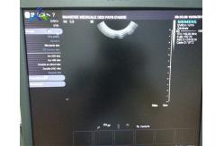 China Wideband Micro Convex Endovaginal Ultrasound Probe Transducer Siemens S2000 EV-8C4 supplier