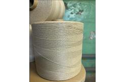 China 4200D Twisted 2 Ply Sausage Loop PP Twine Polypropylene Thread Fibrilated supplier