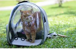 China Outdoor Pet Carrier Backpack Portable Bubble Window Backpack Transparent supplier