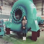 Vertical / Horizontal Brushless 50Hz/60Hz Water Turbine Generator with Automatic Manual Control for sale
