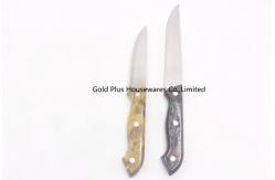 China LFGB Stainless Steel Kitchen Knife Set With Ergonomic Handle supplier