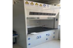 China Customized Made Wall Mounted Chemical Fume Hood With Scrubber Systems supplier