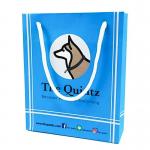 Eco-Friendly Custom Clothes Packaging Bag with Recycled Woodfree Paper and Custom Logo for sale