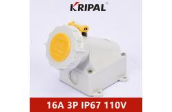 China IP67 16A 32A 3 Pole IEC Industrial Surface Mounting Socket Outlet supplier