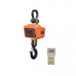 OCS-A1-H2 Handheld Industrial Aluminum Shell Weighing Hook Scale for sale