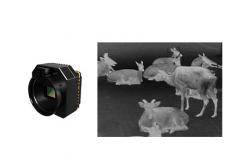 China High Sensitivity Thermal Security Camera Uncooled Infrared Module supplier
