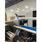 1100A Expiry Date Automatic MRP Printing Machin Numbering 130W