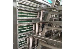 China 2pc/Layer HDG Poultry Egg Collection System Automatic 4m/Min Speed supplier