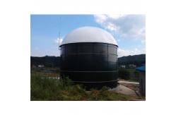 China 1 MW Biogas Power Plant Cost Bio Gas Plant  For Home supplier