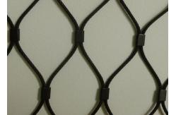 China Plain Weave Stainless Steel Zoo Mesh High Safety Without Toxic Material-Monkey supplier