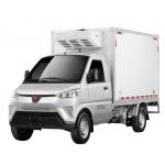 SGMW Wuling 2.7 Tons  Mini  Van Box Refrigerated  Electric Cargo Truck Freezer Truck for Frozen Meat and Chicken for sale