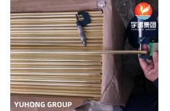 China ASTM B111 C44300 Seamless Admiralty Brass Tube For Heat Exchanger supplier