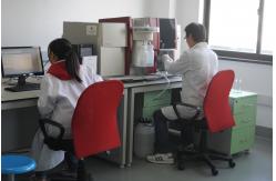 China System Development Laboratory Testing Services Custom Requirements supplier