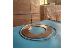 China C51900 Tin Phosphor Bronze Strip CuSn6 0.6X6.5mm Excellent Welding supplier