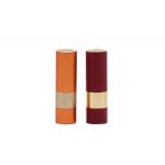 SGS ABS Exquisite Empty Glass Lip Gloss Stick Tubes BPA free for sale