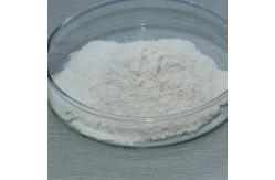 China Water Soluble Lipase In Bread 10000U/G-20000U/G Lipase Enzyme Powder supplier