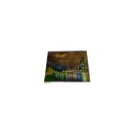 G043FTN01.0 4.3 inch 480*272 display with 40 pins FPC lcd panel for industry for sale