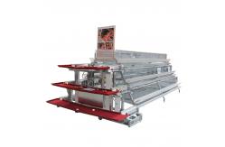 China Full Automatic A Type Layer Chicken Cage supplier