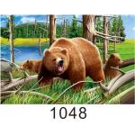 Custom 3D Lenticular Printing 60*80cm / Wall Poster 3D Animals Photos