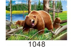 China Custom 3D Lenticular Printing 60*80cm / Wall Poster 3D Animals Photos supplier