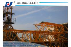 China 3.5-24m Working Radius 380V/50Hz Schneider No Mast Crane WD60(2420) Dismantle Tower Crane supplier