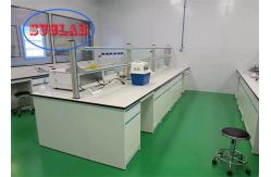 China Customizable Chemistry Lab Bench with Splash-proof Box and Safeguard Cover supplier