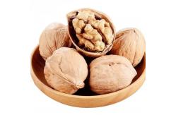 China China Fastest Shipping and Freshest Natural 185 Walnut kernel without shell supplier