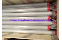 China TP304 TP304L TP304N SS Seamless Pipe ASTM A312 For Food Processing Equipment supplier