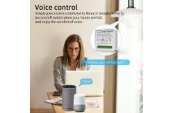 China Remote / Voice Control Wifi Smart Switches With Scheduling Automation Energy Monitoring supplier