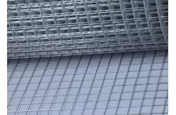 China 1/2 Inch Electric Galvanized Welded Wire Mesh For Hardware Cloth supplier