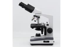 China Halogen Light Student 1000x WF10X Biological Compound Microscope supplier