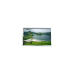 LP121X1-A2C1 12.1 inch LCD Screen 1024*768 LCD Display for sale
