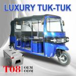 China 3000w Commercial Passenger Electric Tuk Tuk Touring Rickshaw 50km/H manufacturer