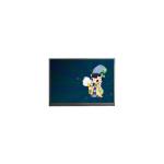 720*1560 F064A13-6T1 6.4 inch LCD Screen for Mobile Phone for sale