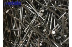 China Polished Common Wire Nails 1/2  For Fencing Countersunk Head supplier