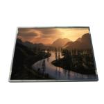 20.0 inch new and original LCD Screen for computer LTM200KT03 for sale