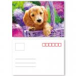 Vivid Plant Two Sides Printing 3D Lenticular Card Plant Introduction for sale