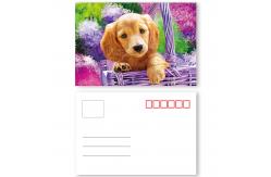 China Vivid Plant Two Sides Printing 3D Lenticular Card Plant Introduction supplier