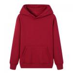 Wholesale Custumized Embroidered Custom Hoodies plain thick pullover hoodie unisex