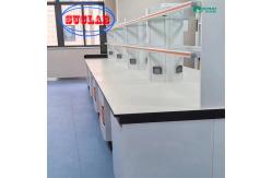 China Custom Chemistry Lab Bench With Cabinet DTC Hinges And Phenolic Countertop supplier