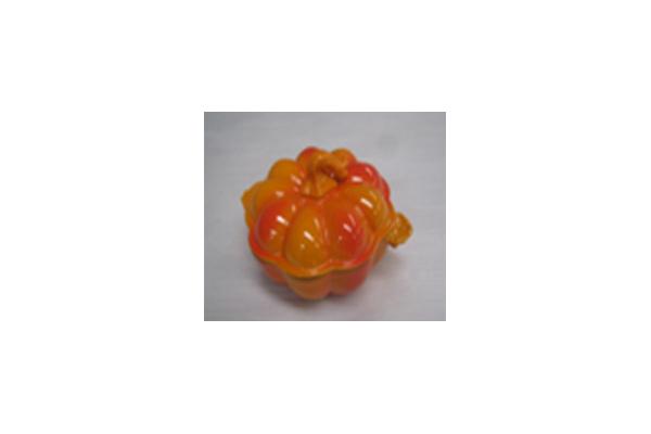 cast iron casserole