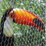 High Strength Stainless Steel Aviary Netting Bird Cage Various Sizes Can Be Customized for sale