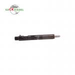 Diesel Fuel Injector EJBR03101D 166001137R for Delphi Engine
