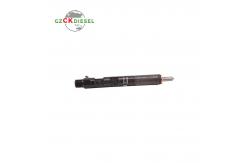 China Diesel Fuel Injector EJBR03101D 166001137R for Delphi Engine supplier