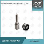 7135-663 Delphi Injector Repair Kit Nozzle-Valve Kit Nozzle-CVA Kit for sale