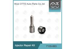 China 7135-663 Delphi Injector Repair Kit Nozzle-Valve Kit Nozzle-CVA Kit supplier