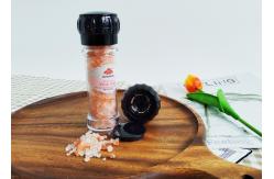China Refillable Salt And Pepper Grinders Plastic Mills Easy To Use supplier