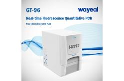 China Wayeal 96 Wells 5 Channels PCR Analyzer For Gene Test supplier
