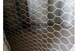 China 4ft 3/4 Inch Holes Chicken Mesh Netting Corrosion Resistant supplier