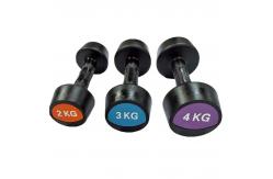 China Free Weights Fitness Workout Rubber Coated Round Dumbbells supplier
